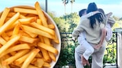 Herzogin Meghan hat ihren Kindern auf Instagram eine überschwängliche Liebeserklärung gemacht ...  (Bild: Krone KREATIV/www.instagram.com/meghan, stock.adobe.com)