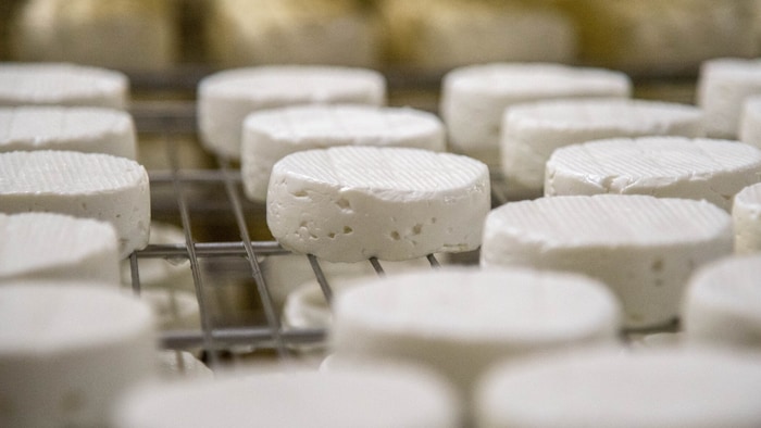 Die Käserei Stift Schlierbach verarbeitet ausschließlich Milch in Bio-Qualität.