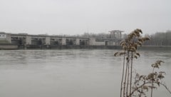 Das Kraftwerk Ottensheim hat keine naturschutrechtliche Bewilligung (Bild: Schütz Markus)