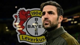 Cesc Fàbregas (Bild: AFP/AFP / SID)