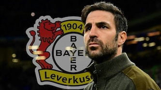 Cesc Fàbregas (Bild: AFP/AFP / SID)