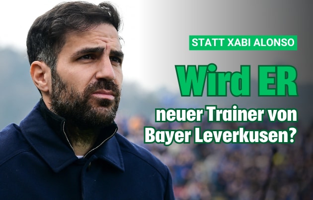 (Bild: Krone KREATIV/AFP)