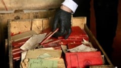 Dem Fund wird „weltweite Bedeutung“ zugeschrieben. (Bild: AFP/HANDOUT)