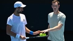 Novak Djokovic und Andy Murray gehen getrennte Wege. (Bild: AFP/WILLIAM WEST)