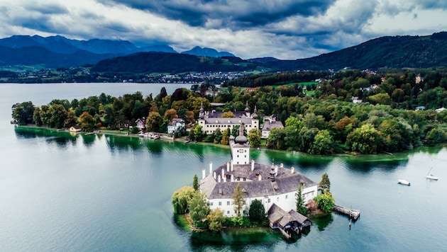 MFG Oberösterreich fordert Stopp der Rodung im Toscanapark und Offenlegung der Verträge, um die ...