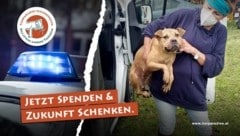 (Bild: Tierparadies)