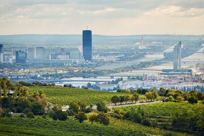 Im Hintergrund: Wien. Im Vordergrund: Das als „Erste Lage“ anerkannten Weingärten Langteufel am Nussberg, die trotzdem bald nicht mehr geschützt sein könnten.