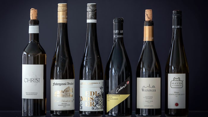 Wiener Wein ist mehr als nur Gemischter Satz.