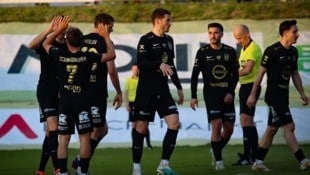 (Bild: FC Hertha Wels)