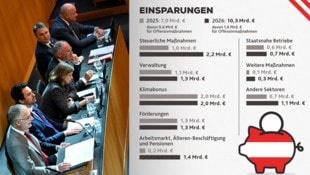 (Bild: Krone KREATIV)