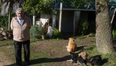 Auch als Staatsoberhaupt wohnte er in einem einfachen Bauernhaus in der Nähe der Hauptstadt Montevideo mit nur drei Zimmern und einem Kohleofen. (Bild: AFP/DANIEL CASELLI)