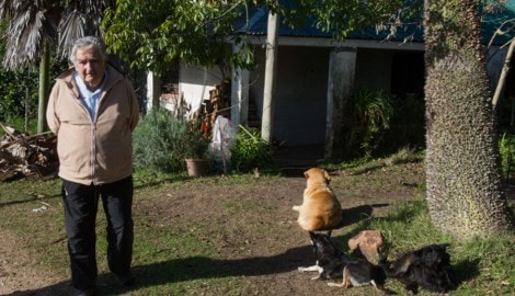 Auch als Staatsoberhaupt wohnte er in einem einfachen Bauernhaus in der Nähe der Hauptstadt Montevideo mit nur drei Zimmern und einem Kohleofen. (Bild: AFP/DANIEL CASELLI)