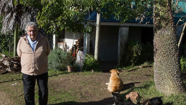 Auch als Staatsoberhaupt wohnte er in einem einfachen Bauernhaus in der Nähe der Hauptstadt ...
