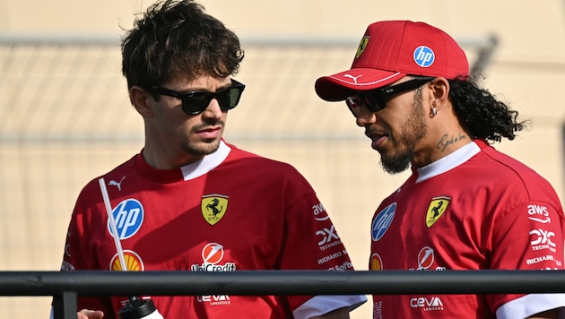 Charles Leclerc (li.) und Lewis Hamilton haben in dieser Saison zu kämpfen.