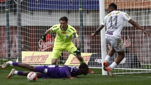 (Bild: APA/GERD EGGENBERGER)