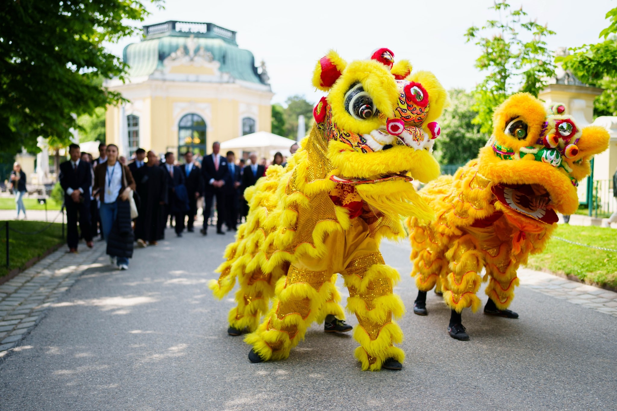 Löwentanz und Promi-Gefolge als festliches Begrüßungskomitee für die neuen Pandas.