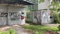 Die Wände der Sportmittelschule und der Volksschule waren Leinwände für vier Burschen, die ihre sportliche und menschliche Gesinnung verewigen mussten. (Bild: Charlotte Titz)