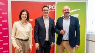 Claudia Gamon, Reinhold Einwallner und Bernie Weber (von links) fordern einen ...