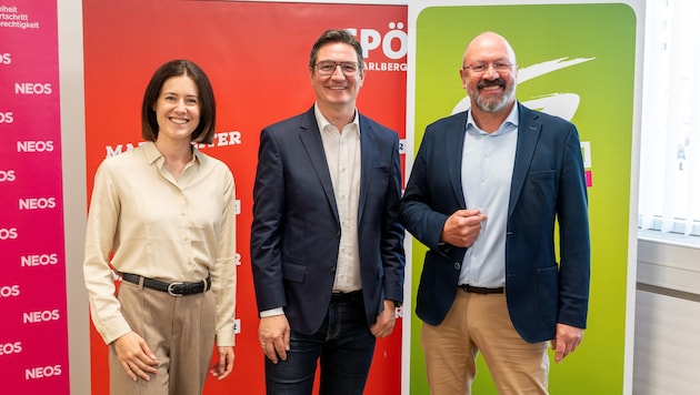 Claudia Gamon, Reinhold Einwallner und Bernie Weber (von links) fordern einen Land-Gemeinden-Konvent.