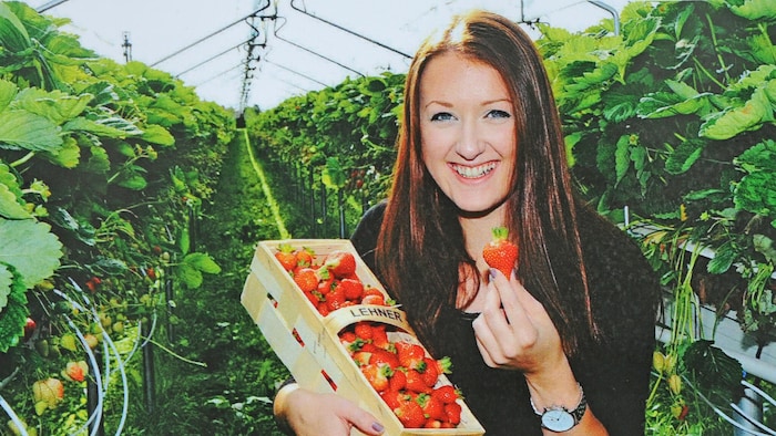Die Erdbeere ist eine köstliche Frucht.