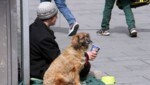Dieses Bild wird künftig der Vergangenheit angehören: Auch das Betteln mit Hunden wird verboten. Das Gesetz muss noch den Landtag passieren und soll mit 1. September gelten. (Bild: Jauschowetz Christian)