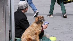 Dieses Bild wird künftig der Vergangenheit angehören: Auch das Betteln mit Hunden wird verboten. Das Gesetz muss noch den Landtag passieren und soll mit 1. September gelten. (Bild: Jauschowetz Christian)