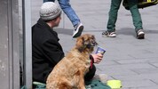 Dieses Bild wird künftig der Vergangenheit angehören: Auch das Betteln mit Hunden wird verboten. Das Gesetz muss noch den Landtag passieren und soll mit 1. September gelten. (Bild: Jauschowetz Christian)
