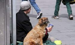 Dieses Bild wird künftig der Vergangenheit angehören: Auch das Betteln mit Hunden wird verboten. ...