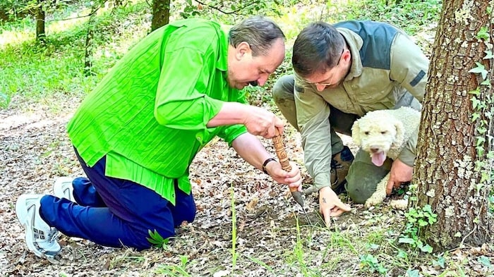Wald statt Küche: Johann Lafer tauscht die Kochschürze gegen den Spaten und freut sich gemeinsam mit Hund Lilly und Armin Hadžic über seine ausgegrabene Edelknolle. 