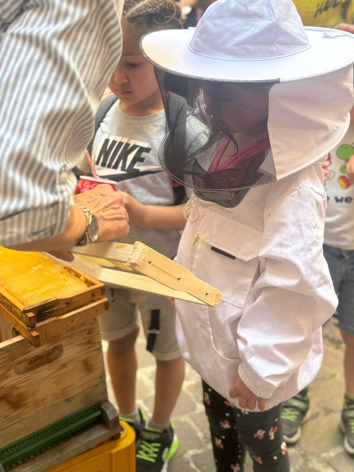 Auch die Welt der Bienen kann entdeckt werden.