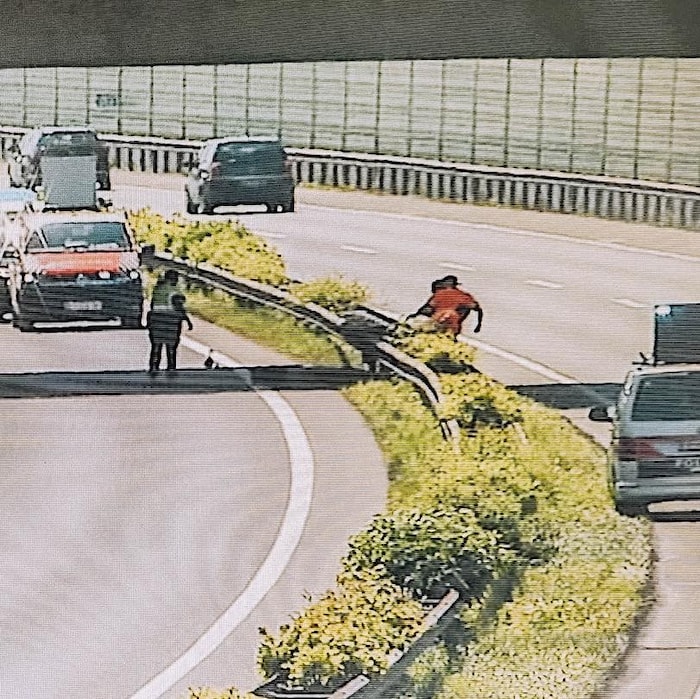 Hier hatten sich die Enten niedergelassen. 