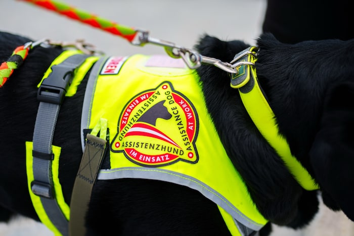 Assistenzhunde müssen als solche erkennbar sein.