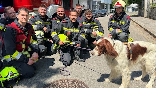 „Filli“ konnte von der Feuerwehr zunächst im Dickicht geortet und wenig später von dort aus seiner Notlage befreit werden. 