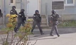 Die Kräfte der SIG rückten professionell vor. Sie konnten die Situation in der Wohnung ...