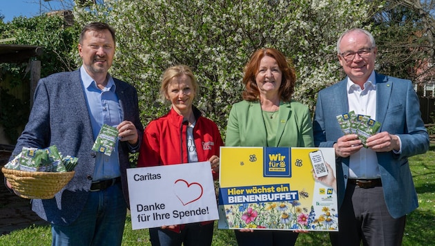 Eine Hilfsaktion, die Hoffnung säen soll: Ziselsberger, Annika Urbanitsch (Caritas), Ruspeckhofer und Landesvize Stephan Pernkopf mit den Sackerln (von links).