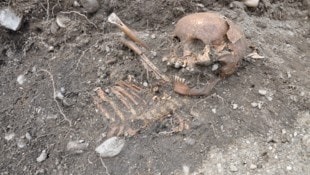 Die gefundenen Skelette sind sehr gut erhalten. (Bild: Archäologischer Dienst)