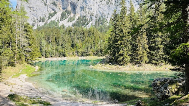Der Karstsee ist bekannt für sein glasklares Wasser.