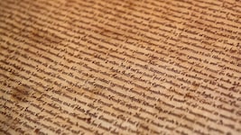 Die vermeintliche „Magna Carta“-Kopie (Bild) an der Harvard University ist tatsächlich ein Original. (Bild: APA/AFP/Leon Neal)
