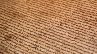 Die vermeintliche „Magna Carta“-Kopie (Bild) an der Harvard University ist tatsächlich ein Original. (Bild: APA/AFP/Leon Neal)
