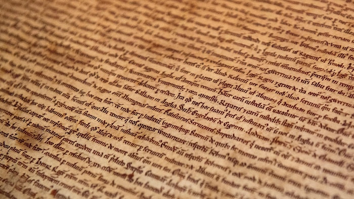 Die vermeintliche „Magna Carta“-Kopie (Bild) an der Harvard University ist tatsächlich ein Original.