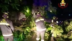 Der Zyklon Ines zieht nach Italien – solche Tropenstürme kommen dort fast nie vor. Die örtliche Feuerwehr in Palermo ist im Dauereinsatz (siehe Bild oben). (Bild: Vigili del Fuoco Palermo)