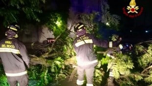 Der Zyklon Ines zieht nach Italien – solche Tropenstürme kommen dort fast nie vor. Die örtliche ...