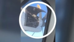 (Bild: kameraOne (Screenshot))