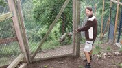 Muss ein Mitarbeiter in Herberstein zu Tieren, gilt erhöhte Vorsicht und das Vier-Augen-Prinzip