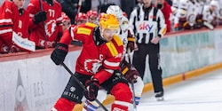 Michi Raffl muss bei Salzburg nur noch zum Medizin-Check.