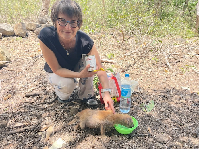 Astrid Pafla ist auf Mauritius im Dauereinsatz. 