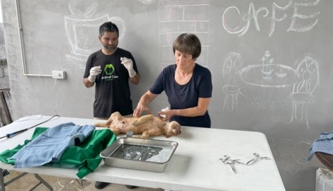Die steirische Tierärztin Astrid Pafla reist zweimal im Jahr nach Mauritius.  (Bild: Astrid Pafla)