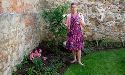 Der Garten in der Stadtvilla. Zezelitsch erzählt auch in ihrem Blog „Uschi hoch zu Beet“ von ...