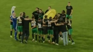 (Bild: Krone KREATIV/fan.at)