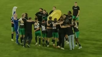 (Bild: Krone KREATIV/fan.at)
